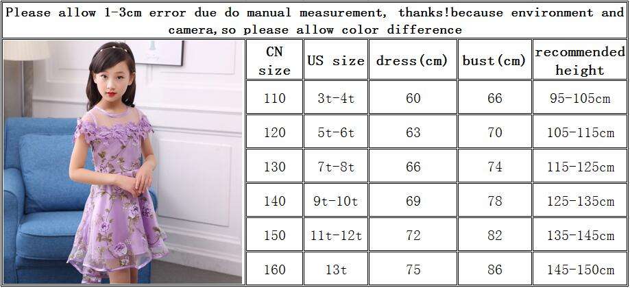 Lace Tulle Princess TUTU Girl Dress, Girls Flower Dress, Voile Birthday Party Dress, Fancy Princess Tutu Dress